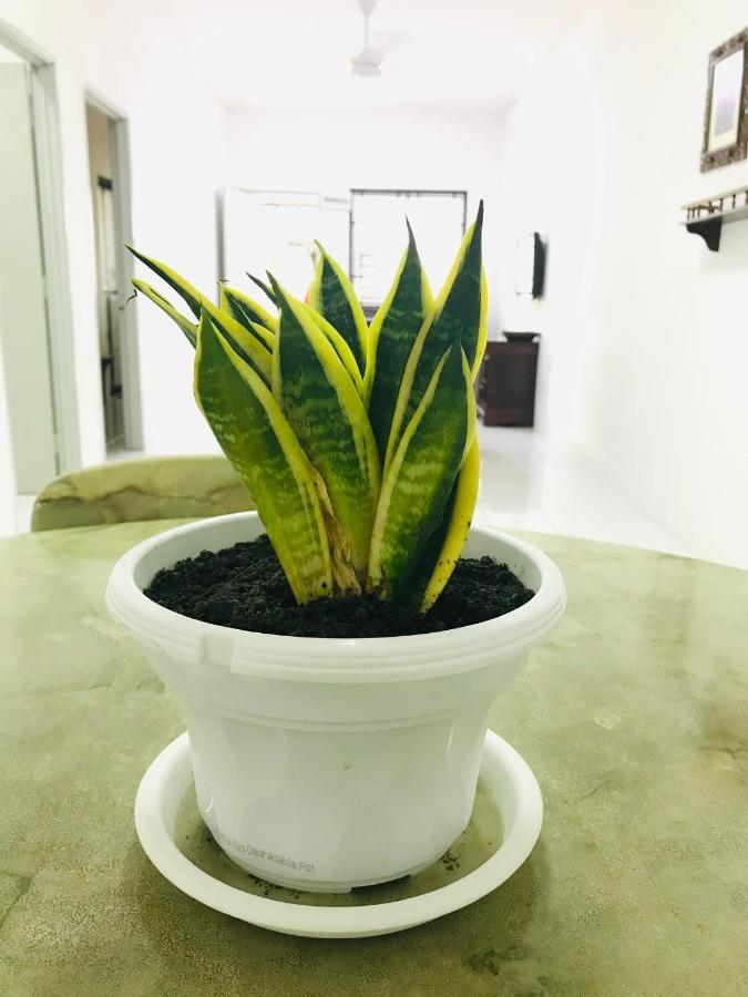 Alyn Home Batu Pahat II Wifi Coway Mohd Noor 외부 사진